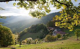 Logis Du Mehrbachel - & Restaurant Saint-amarin 3*